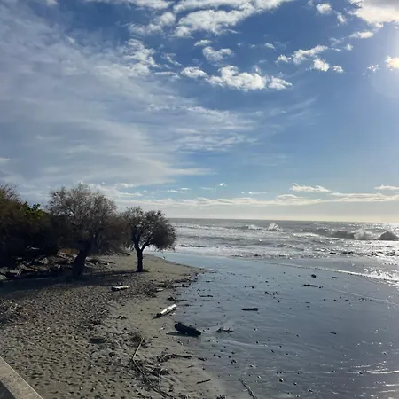 Bistrot Del Mare Santo Stefano al Mare