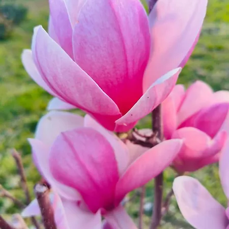 Apartamento Bistrot Del Mare Santo Stefano al Mare