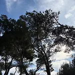 Bistrot Del Mare Santo Stefano al Mare