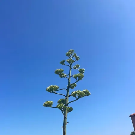 Bistrot Del Mare * Santo Stefano al Mare
