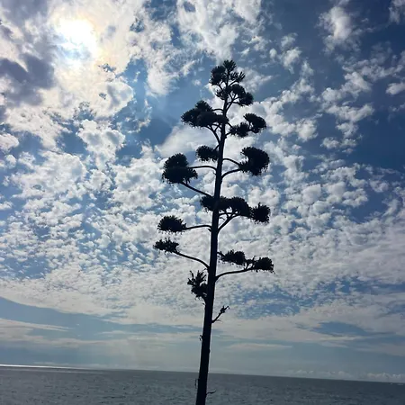 Bistrot Del Mare Διαμέρισμα Santo Stefano al Mare