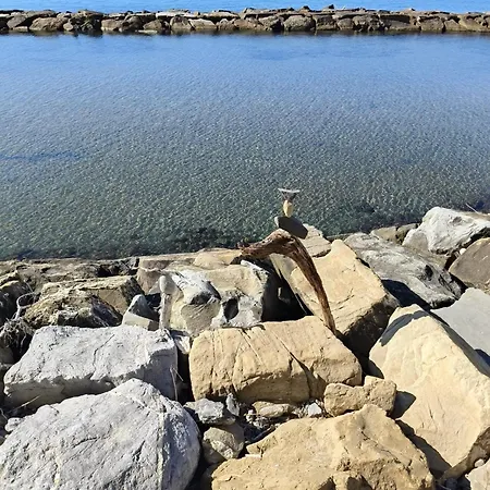 Bistrot Del Mare サント・ステーファノ・アル・マーレ