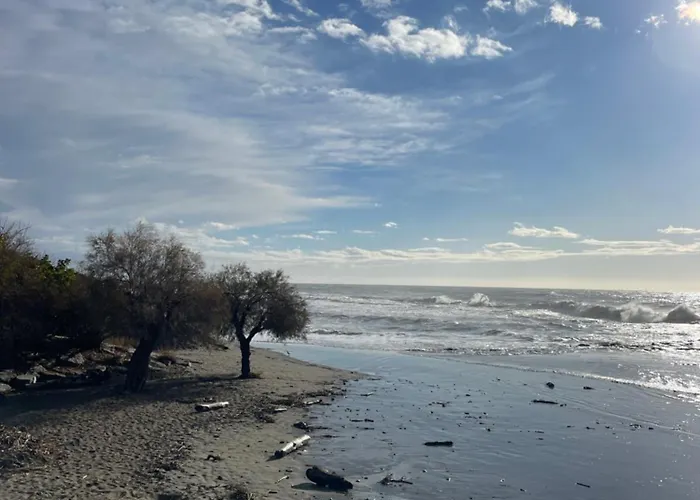 Bistrot Del Mare Santo Stefano al Mare